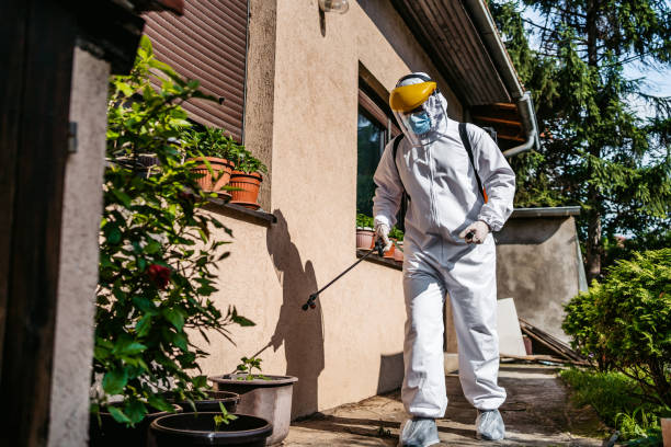 Pest Control Cost in North Fork, AZ