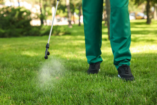 Wildlife Control Services in North Fork, AZ
