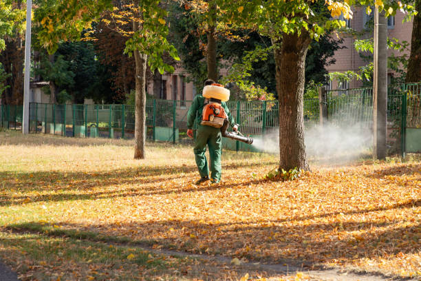 Best Wildlife Control Services  in North Fork, AZ