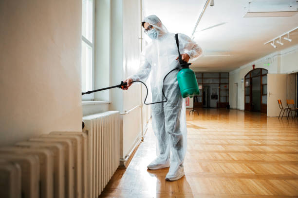Professional Pest Control in North Fork, AZ