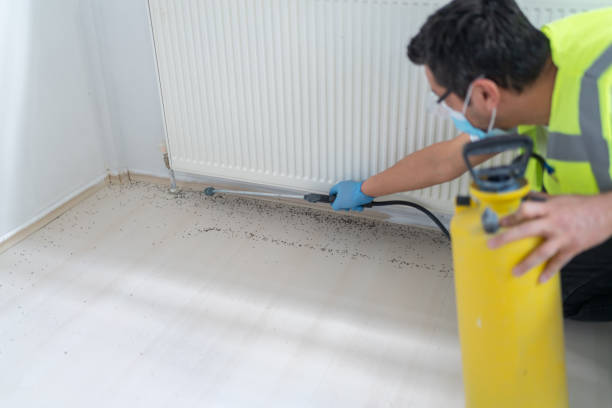 Best Pest Control Near Me  in North Fork, AZ
